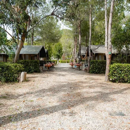 Glamping At Elba