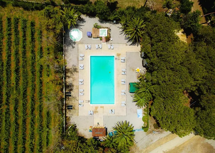 Luxury tent Glamping At Elba